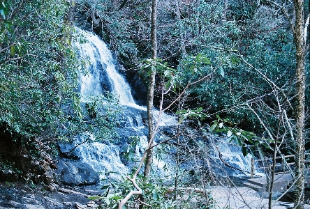 [Waterfall as seen through trees.]